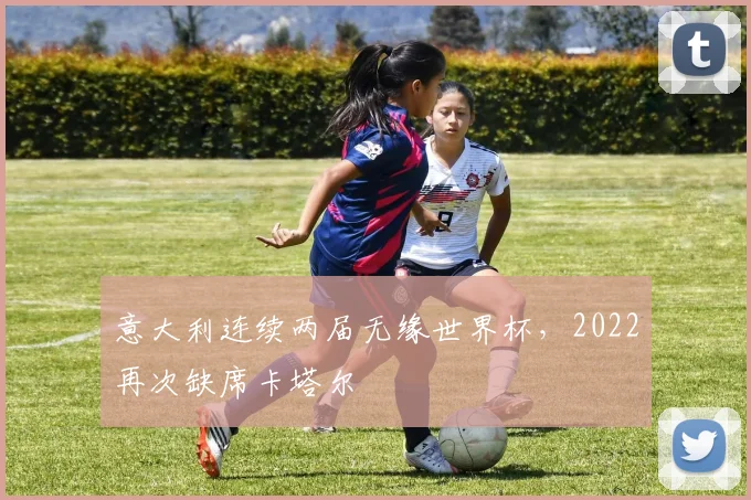 意大利连续两届无缘世界杯，2022再次缺席卡塔尔