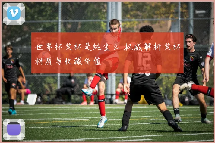 世界杯奖杯是纯金么 权威解析奖杯材质与收藏价值