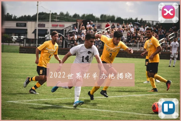 2022世界杯举办地揭晓